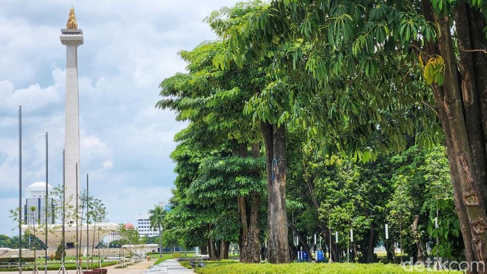 Monas Akan Dihijaukan Lagi Biar Mirip New York dan London Pemerintah berencana menghijaukan kembali kawasan Monas, Jakarta. Monas dihijaukan lagi biar mirip Central di New York atau taman lain di London.
