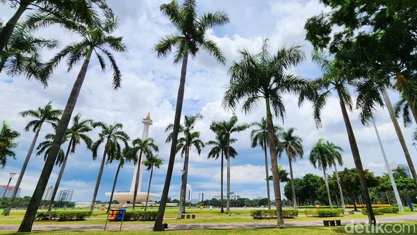 Pohon-pohon palem tampak tinggi menjulang. Dengan adanya rencana tersebut, maka kawasan Monas akan terlihat hijau dan asri. Pohon-pohon palem tampak tinggi menjulang. Dengan adanya rencana tersebut, maka kawasan Monas akan terlihat hijau dan asri.