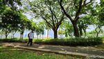 Potret Terkini Monas yang Bakal Dihijaukan Seperti New York dan London