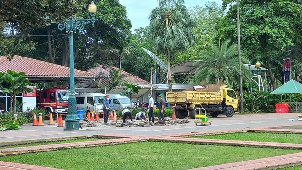 Pemprov DKI Rapikan Pohon di Balai Kota Buntut Trembesi Tumbang Timpa 6 Orang. (Anggi/detikcom)