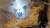 Lubang itu juga terlihat jelas di bagian dalam kabin pesawat. Bahkan hingga merusak bantalan pelindung kabin.