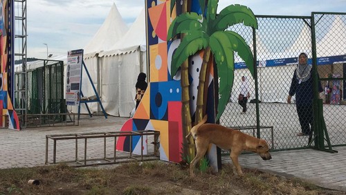 Anjing liar masih berkeliaran di area Sirkuit Mandalika saat ajang WSBK 2022. (Foto: Ahmad Viqi/detikBali)