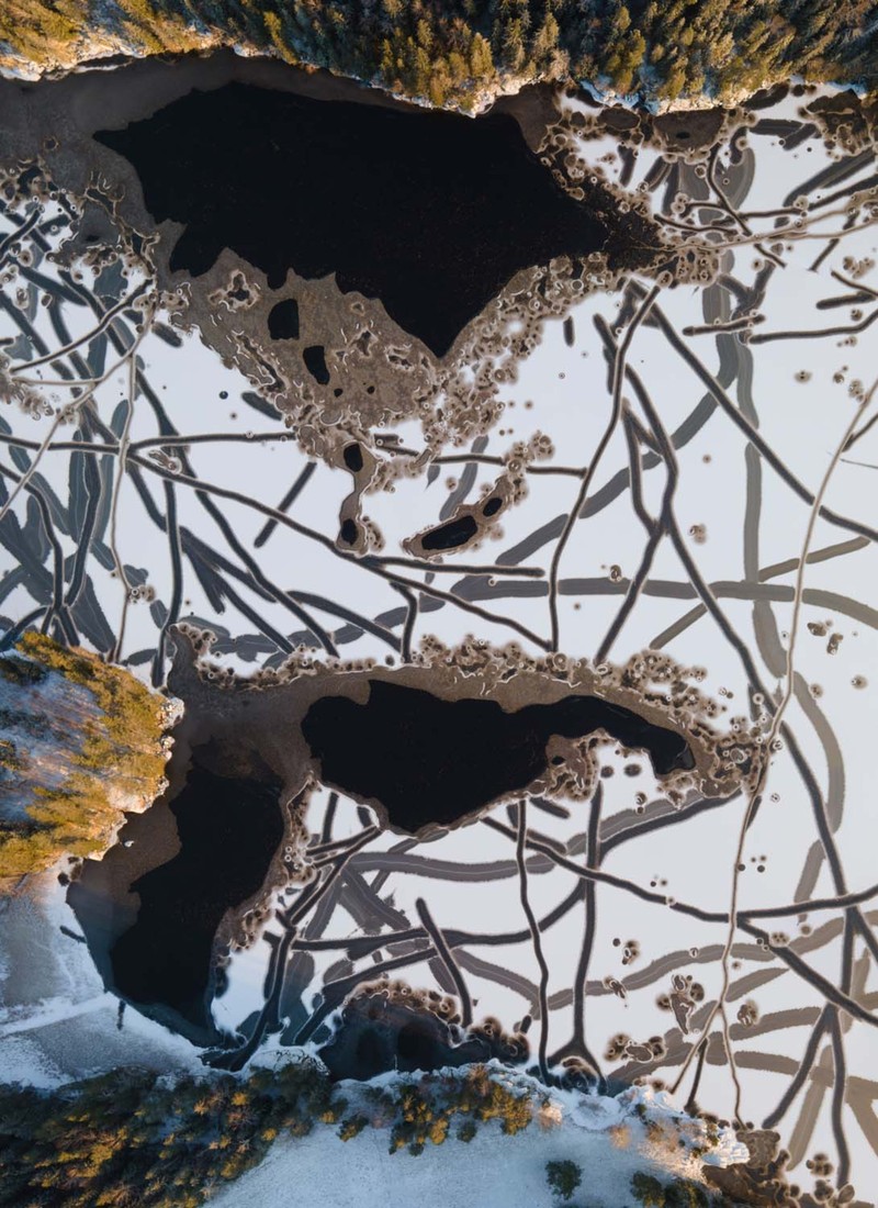 Jawara European Wildlife Photographer of the Year 2022