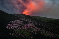 Jawara European Wildlife Photographer of the Year 2022