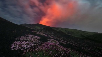 Hephaestus garden karya Salvo Orlando dari Italia memenangkan kategori Plants and Fungi. Foto: Salvo Orlando/European Wildlife Photographer of the Year