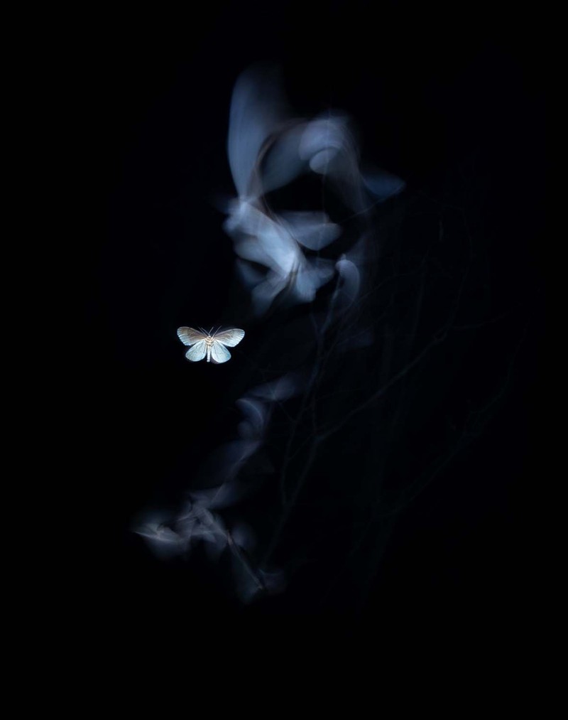 Jawara European Wildlife Photographer of the Year 2022