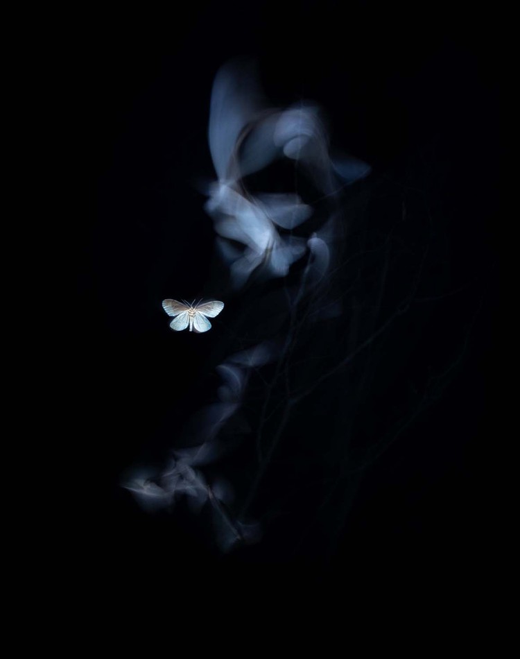 European Wildlife Photographer of the Year 2022 Jawara European Wildlife Photographer of the Year 2022