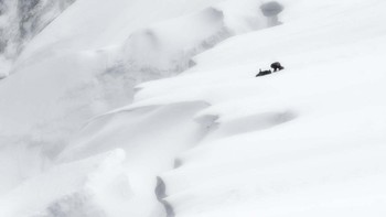 Playful karya Milo Angelo Ramella dari Italia memenangkan kategori Mammals. Foto: Milo Angelo Ramella/European Wildlife Photographer of the Year