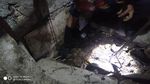 Penampakan Induk Kobra 2 Meter Bikin Syok Ibu-ibu di Bogor