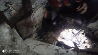 Awalnya seorang ibu hendak makan dan mengambil piring. Ibu tersebut mendengar suara mendesis di area dapur rumahnya (dok Damkar Bogor)