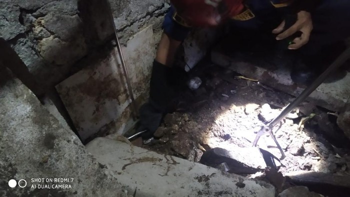 Kemunculan induk kobra di Cibinong, Kabupaten Bogor, membuat warga kaget dan takut. Warga lalu meminta bantuan damkar untuk mengevakuasi ular berbisa tersebut (dok Damkar Bogor)