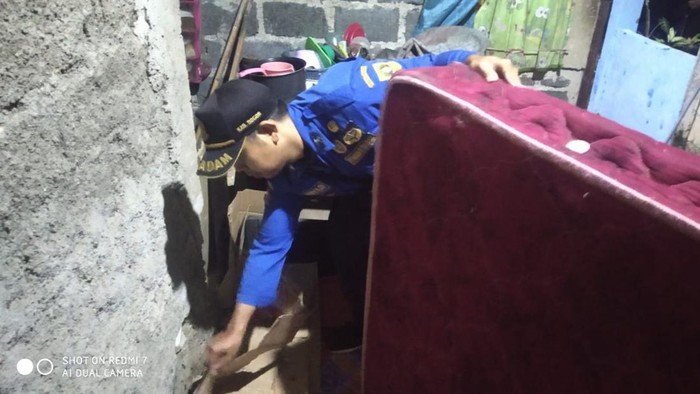 Kemunculan induk kobra di Cibinong, Kabupaten Bogor, membuat warga kaget dan takut. Warga lalu meminta bantuan damkar untuk mengevakuasi ular berbisa tersebut (dok Damkar Bogor)