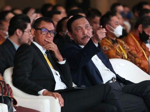 Dukung PLN Kembangkan EBT, Luhut Pede RI Bisa Capai Target NZE 2060