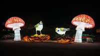 Dalam pameran ini, pengunjung dapat menelusuri hutan yang penuh dengan serangga seperti kupu-kupu, laba-laba, siput, tikus, capung, nyamuk, dan katak.