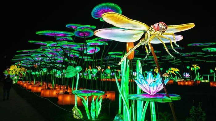 Menelusuri Hutan yang Penuh Serangga Raksasa di Paris Jardin des Plantes menghadirkan festival cahaya malam hari dalam suasana magis. Pengunjung dapat melihat berbagai macam serangga berukuran besar di festival ini.