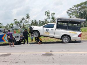 Mobil Patroli Satpol PP Lumajang Terjun ke Sawah, 6 Anggota Terluka