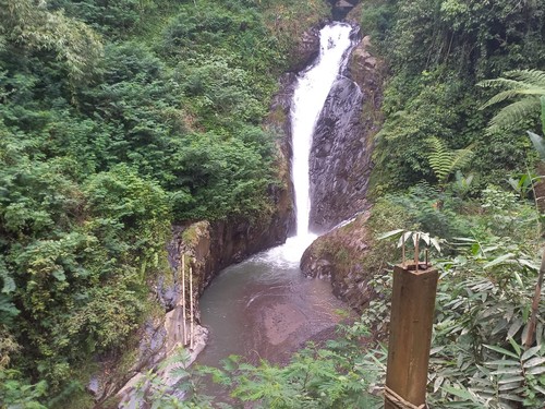 Obyek wisata air terjun Campuhan Gitgit yang mengalami pendangkalan hingga menyebabkan kunjungan wisatawan turun hingga 70 persen. Foto: Made Wijaya Kusuma