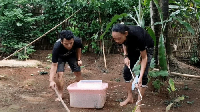 Panji Petualang memperlihatkan cara menangkap ular.