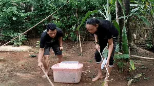 Wajib Tahu! Tips Jika Bertemu Ular dari Panji Petualang