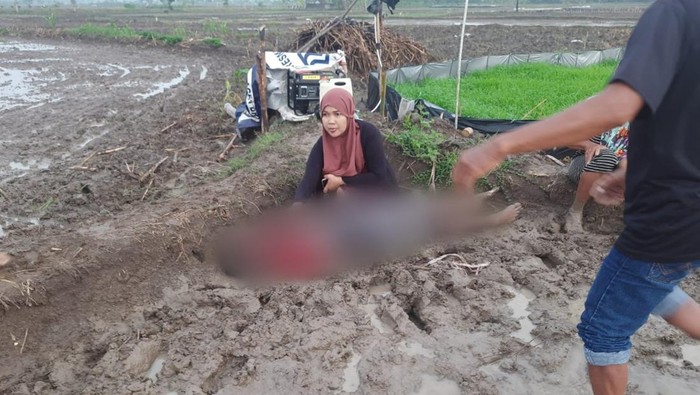 petani tewas tersetrum jebaka listrik
