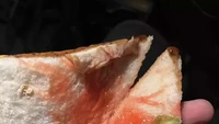 Niat hati beli sandwich, orang ini malah dikerjai. Isiannya sayuran dan dagingnya hanya sedikit. Foto: Instagram/Twitter