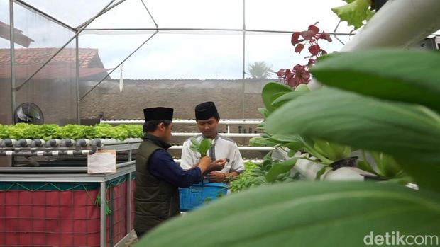 Santri di Purwakarta berhasil memproduksi simping sayuran.