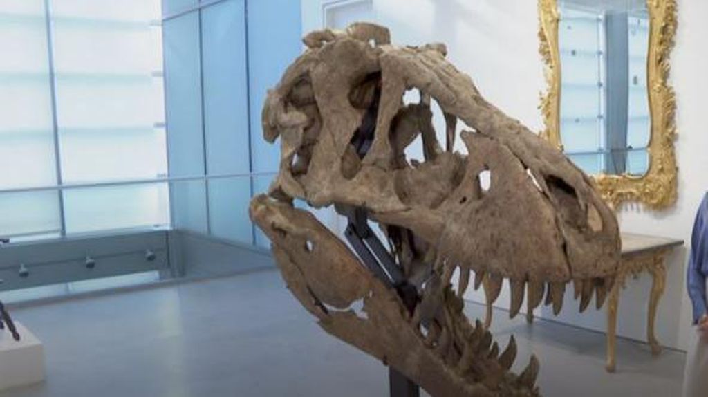 Tengkorak T-Rex Ini Dilelang US$ 15 Juta
