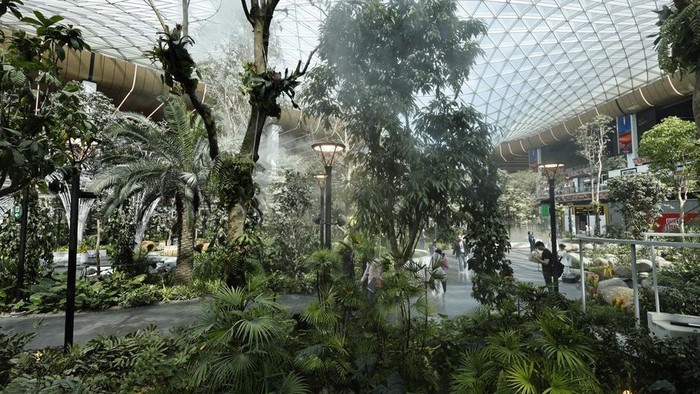 Taman tropis di Bandara Hamad Qatar Taman tropis di Bandara Hamad Qatar