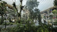 Qatar membangun hutan tropis kecil di Bandara Internasional Hamad dengan nama Taman Orchad (REUTERS/Hamad I Mohammed)
