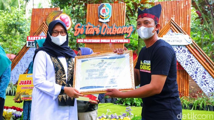 Tiga varietas durian merah Banyuwangi terdaftar di Kementan RI. Jadi total hingga saat ini, ada lima varietas durian merah Banyuwangi yang resmi tercatat di Kementan, sebagai varietas lokal.