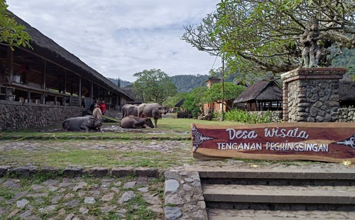 Desa Wisata Tenganan Pegringsingan yang terletak di Kecamatan Manggis, Kabupaten Karangasem. Foto : I Wayan Selamat Juniasa