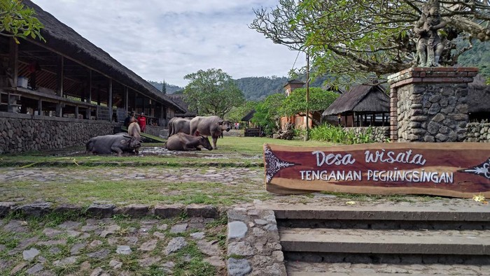 Desa Wisata Tenganan Pegringsingan yang terletak di Kecamatan Manggis, Kabupaten Karangasem. Foto : I Wayan Selamat Juniasa