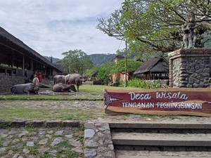 Desa Tenganan Pegringsingan, Wisata Budaya Kuno di Karangasem