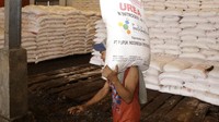 Sebagai informasi, kedua jenis pupuk bersubsidi ini diperuntukan bagi sembilan komoditas pertanian strategis yang berdampak terhadap inflasi.