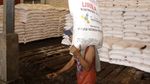Dukung Musim Tanam, Pupuk Indonesia Tebar Ratusan Ribu Ton Urea-NPK