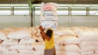 Kesembilan komoditas tersebut adalah padi, jagung, kedelai, cabai, bawang merah, bawang putih, tebu rakyat, kakao, dan kopi.