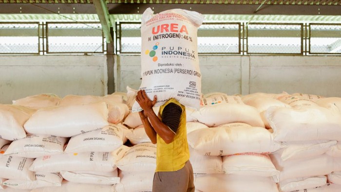 Dukung Musim Tanam, Pupuk Indonesia Tebar Ratusan Ribu Ton Urea-NPK Menyambut musim tanam Oktober-Maret (Okmar), PT Pupuk Indonesia (Persero) telah menyiapkan stok pupuk bersubsidi Urea dan NPK.