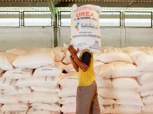 Kapasitas Pabrik BUMN 13,9 Juta Ton, Produksi Pupuk Subsidi Aman?