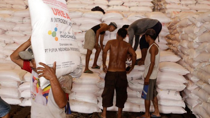 Menyambut musim tanam Oktober-Maret (Okmar), PT Pupuk Indonesia (Persero) telah menyiapkan stok pupuk bersubsidi Urea dan NPK.