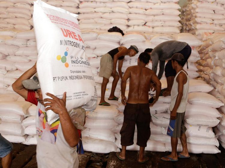 Dukung Musim Tanam, Pupuk Indonesia Tebar Ratusan Ribu Ton Urea-NPK
