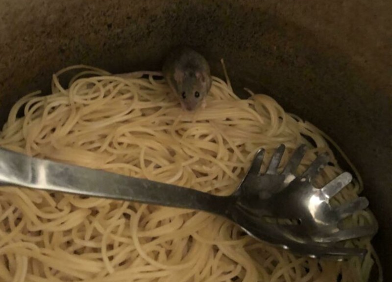 Foto viral sedang sial