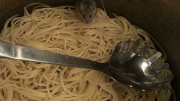 Sudah terbayang lezatnya sphagetti sebelum kejadian ini. Foto: Twitter