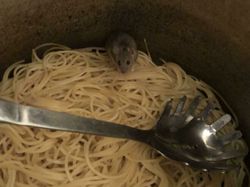 Ngakak Tapi Kasihan, Momen Orang Apes Banget