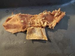 Ngakak Tapi Kasihan, Momen Orang Apes Banget