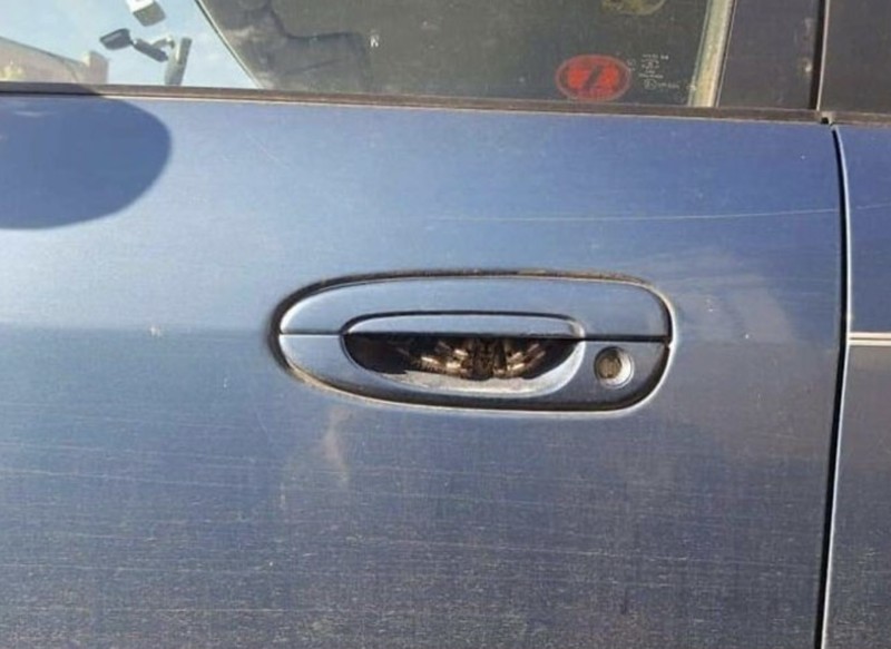 Foto viral sedang sial