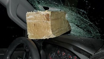 Hampir saja celaka, untuk tidak kena. Foto: Bored Panda