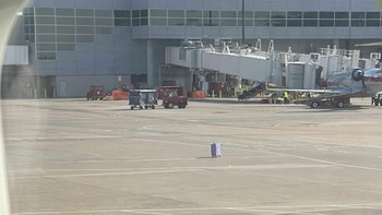 Waduh, koper siapa ya yang ketinggalan? Foto: Bored Panda