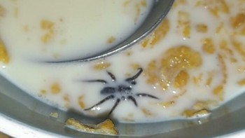 Selera makan pun langsung hilang. Foto: Bored Panda