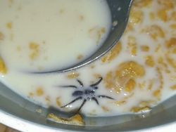 Ngakak Tapi Kasihan, Momen Orang Apes Banget