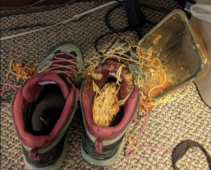 Foto viral sedang sial